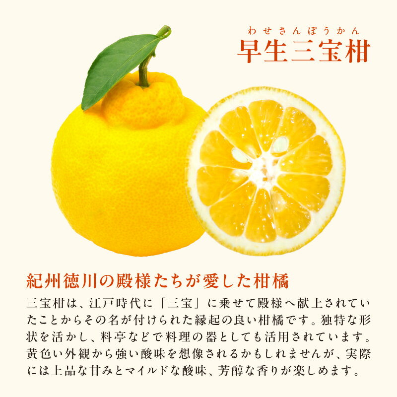 【ふるさと納税】【2026年発送 先行予約品】2月の御浜柑橘 早生三宝柑 みえのスマイル 市木オレンジ 詰め合わせ セット 5kg【御浜町でとれたみかん詰め合わせをお届け！】 サムネイル3