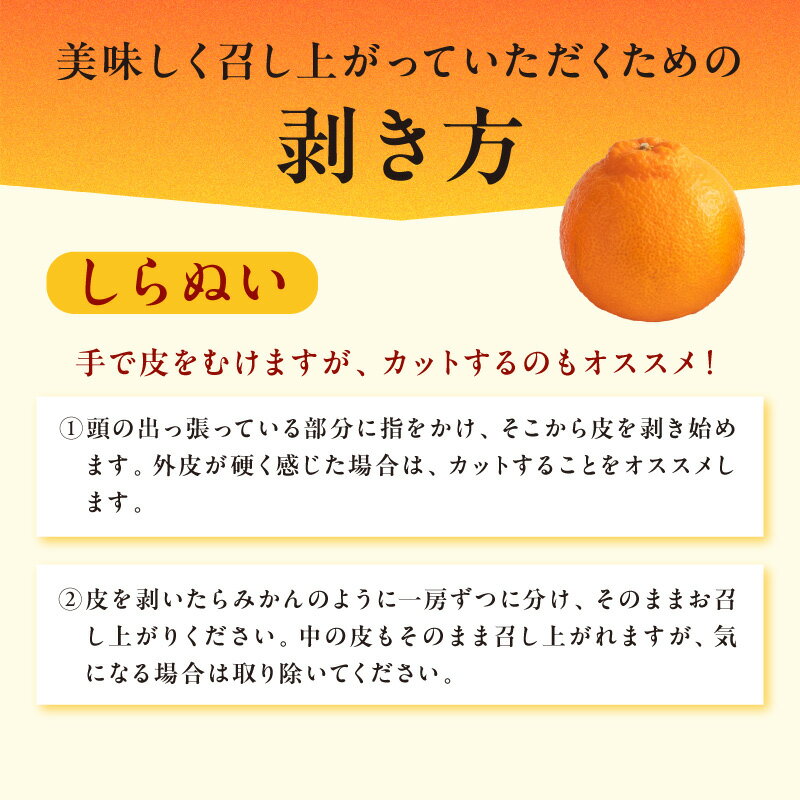 【ふるさと納税】【2026年発送 先行予約品】高評価★5.00 3月の御浜柑橘 メチャ甘不知火 3kg前後【御浜町でとれためちゃ甘シラヌイをお届け！】 サムネイル3