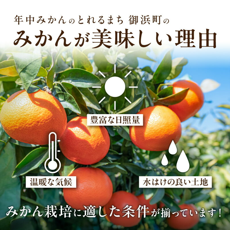 【ふるさと納税】高評価★5.00 御浜柑橘 大好評みかんの定期便！旬のおすすめみかんまたはジュースを毎月お届け！（全10回） サムネイル2