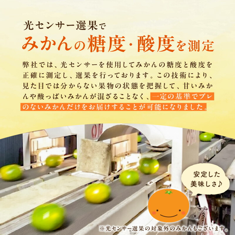 【ふるさと納税】高評価★5.00 御浜柑橘 大好評みかんの定期便！旬のおすすめみかんまたはジュースを毎月お届け！（全10回） サムネイル3
