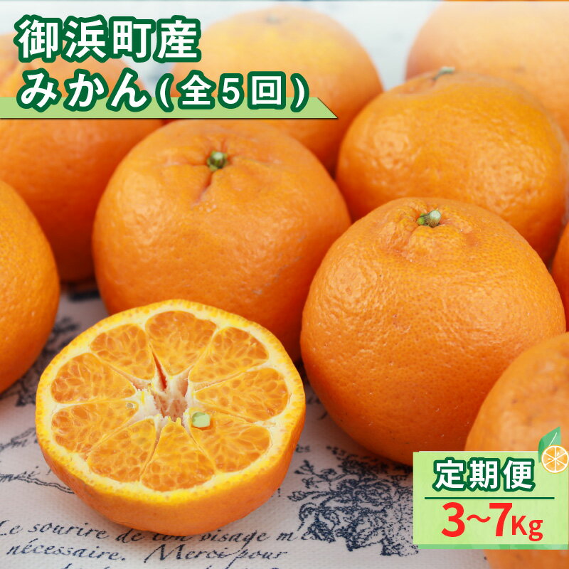 丸安青果 大好評、みかんの定期便！その月一番のおすすめ旬のみかんをお届けいたします(全5回)