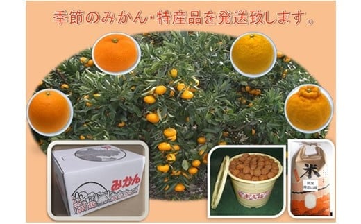 【ふるさと納税】丸安青果 御浜町特産品の定期便！旬のみかんや梅干、お米をお届け！（全10回） サムネイル3