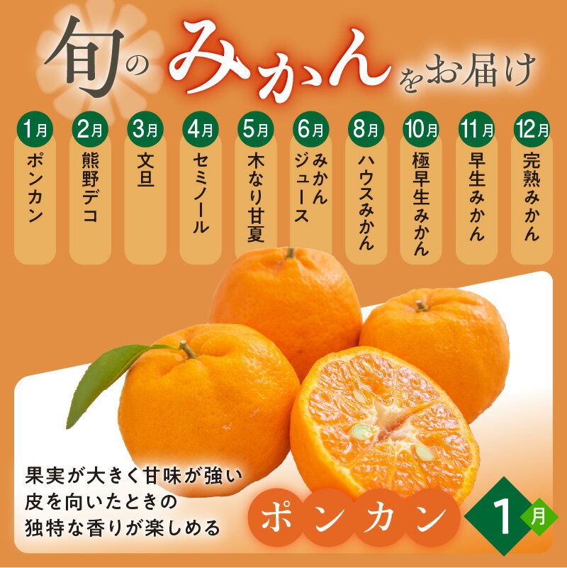 【ふるさと納税】かきうち農園 オレンジ 定期便 (全10回) サムネイル2