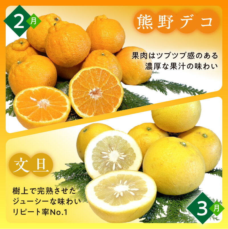 【ふるさと納税】かきうち農園 オレンジ 定期便 (全10回) サムネイル3