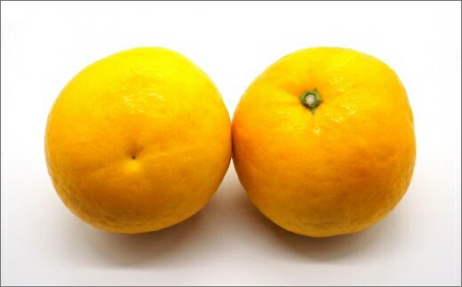 【ふるさと納税】高評価★4.83 なごみかん 日南 極早生みかん 10kg【さわやかな香りと味わい】 - 画像2