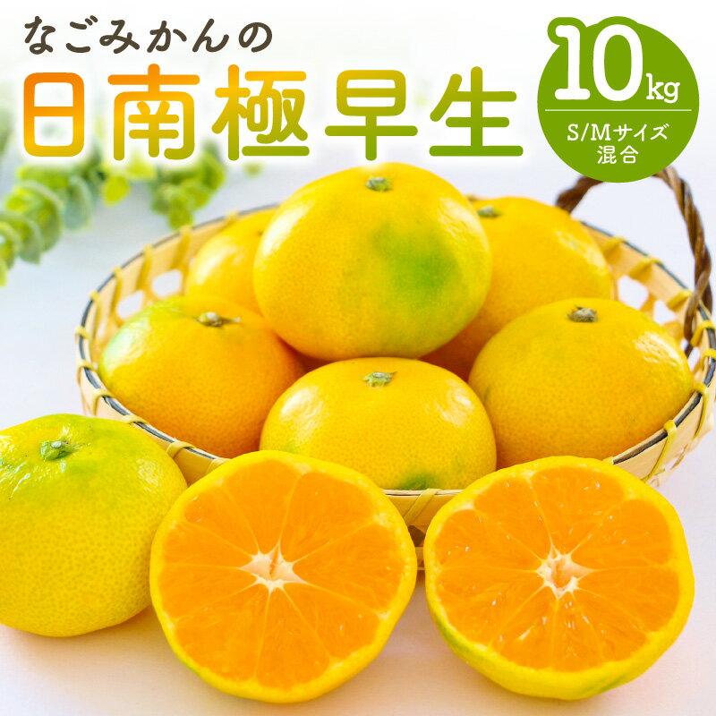 高評価★4.83 なごみかん 日南 極早生みかん 10kg【さわやかな香りと味わい】