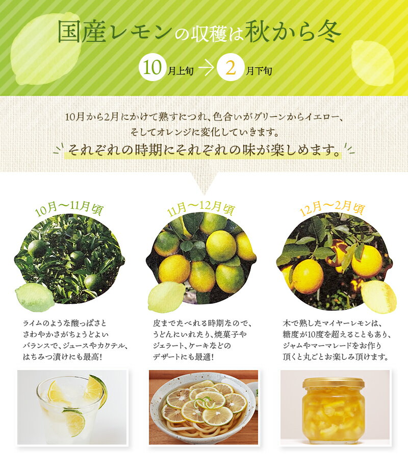 【ふるさと納税】 訳あり 国産 数量限定 マイヤーレモン 3kgまたは5kg 【2025年10月～2026年1月下旬の期間で順次発送】 / レモン 国産 マイヤーレモン 数量限定 訳あり サムネイル3