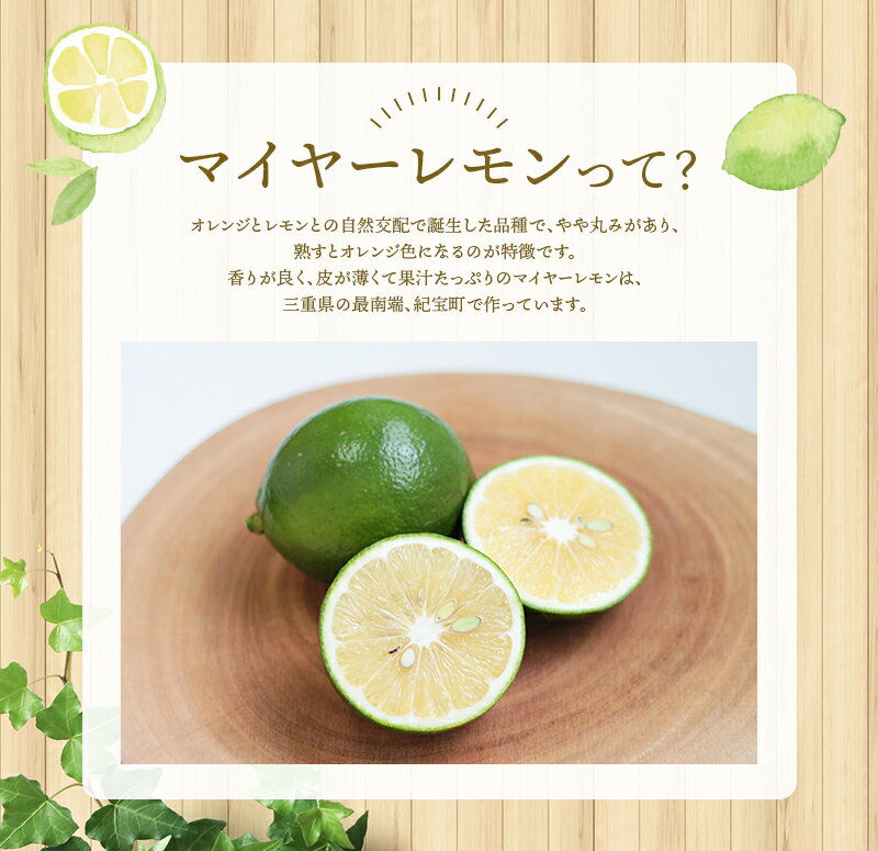 【ふるさと納税】 訳あり 国産 数量限定 マイヤーレモン 3kgまたは5kg 【2025年10月～2026年1月下旬の期間で順次発送】 / レモン 国産 マイヤーレモン 数量限定 訳あり サムネイル2