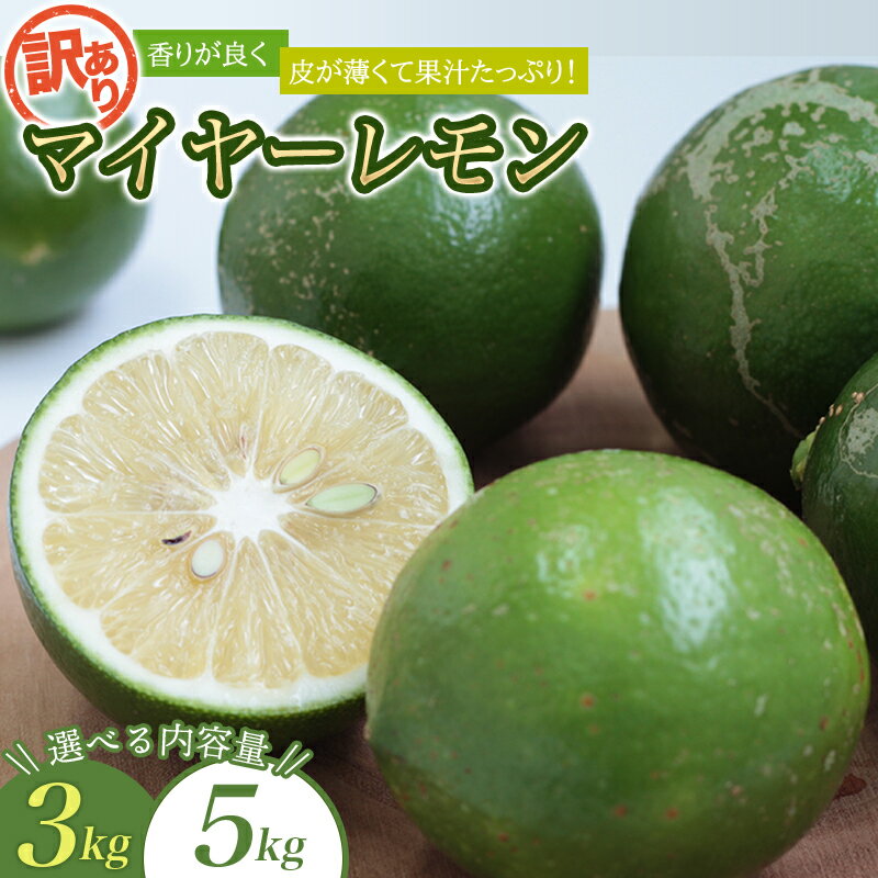 訳あり 国産 数量限定 マイヤーレモン 3kgまたは5kg 【2025年10月～2026年1月下旬の期間で順次発送】 / レモン 国産 マイヤーレモン 数量限定 訳あり