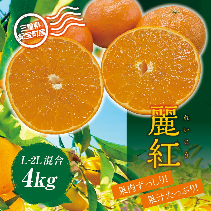 麗紅 萩野農園の 麗紅 (れいこう) 4kg L-2L サイズ混合 【2026年1月末から2月末までに順次発送】 みかん ミカン 蜜柑 フルーツ 果物 くだもの 産地直送 甘い ジューシー 数量限定 送料無料