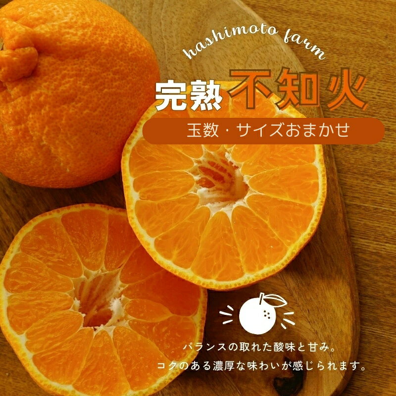 ＼選べる容量／ 不知火 橋本農園の 完熟不知火 玉数・サイズおまかせ 5kg or 10kg【2026年2月中旬〜3月中旬までに順次発送】 デコポン みかん ミカン 蜜柑 柑橘 果物 くだもの フルーツ 予約 人気 ジューシー 甘い 産地直送 送料無料