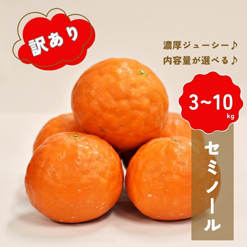 【先行予約】＼容量が選べる／ 橋本農園の 訳あり セミノール 【2026年3月中旬から4月中旬に順次発送】 / セミノール 柑橘 フルーツ 果物 くだもの 先行予約