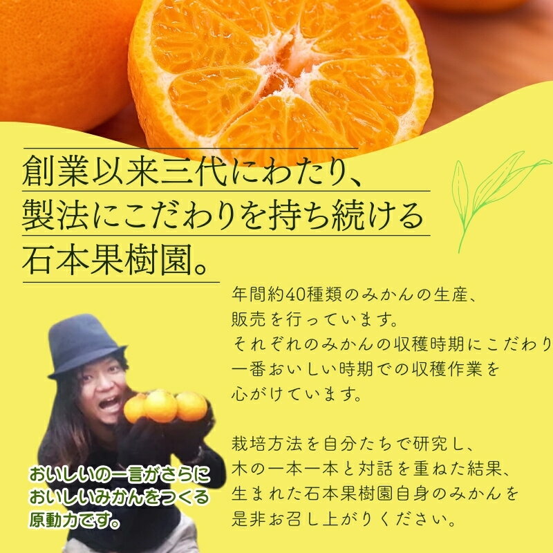 【ふるさと納税】 石本果樹園の 完熟 はるぽん 約3.5kg 【2026年3月上旬から4月上旬までに順次発送】 / ミカン 蜜柑 柑橘 フルーツ くだもの 果物 先行予約 不知火 産地直送 送料無料 サムネイル2