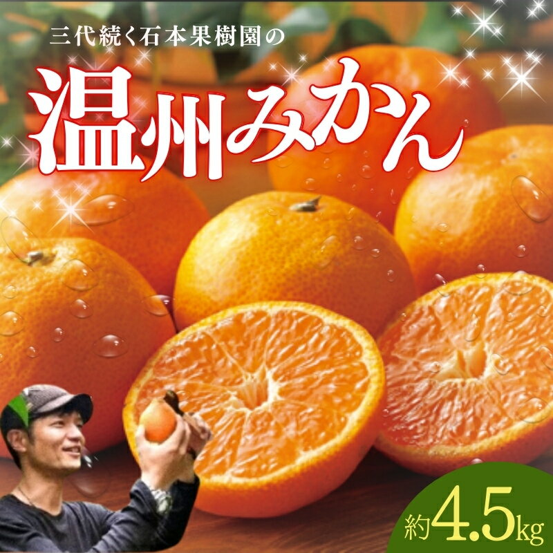 温州みかん 石本果樹園の美味しい 温州みかん 約4.5kg 35〜40玉前後【2026年11月初旬から1月下旬までに順次発送】 / みかん ミカン 蜜柑 柑橘 フルーツ くだもの 果物 先行予約 温州 産地直送 送料無料