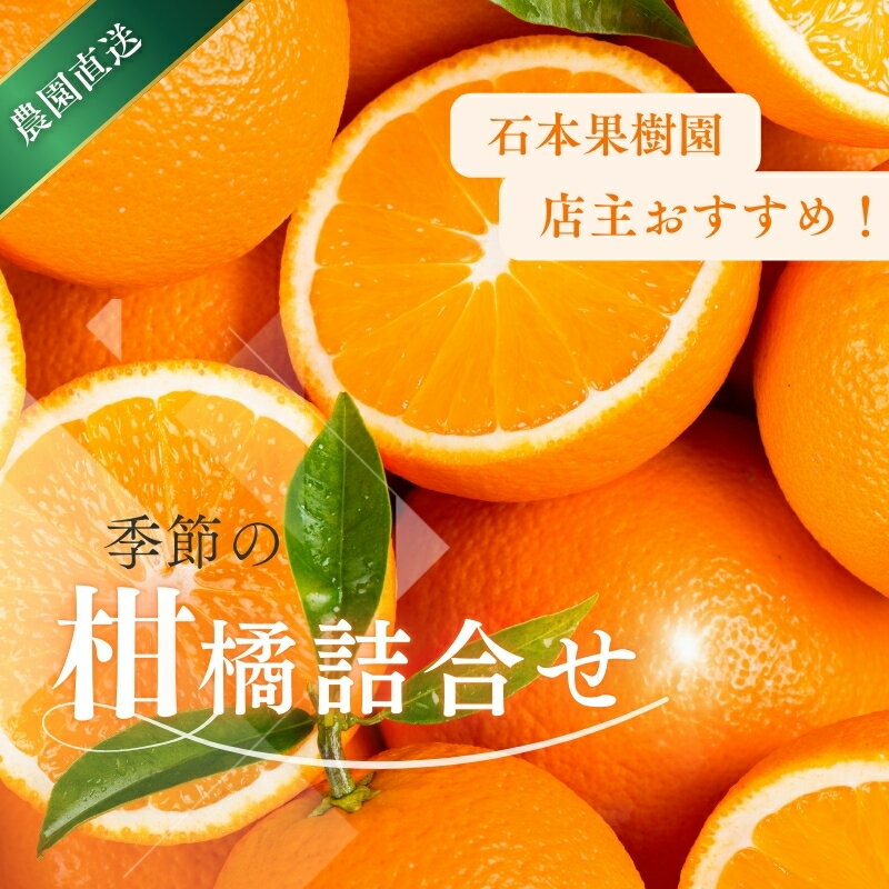 先行予約 旬の柑橘 詰め合わせ セット 石本果樹園 店主おすすめの柑橘セットをお届け 【2026年1月〜5月中に順次発送予定】 / フルーツ 果物 くだもの 柑橘 みかん ミカン不知火 せとか セミノール ポンカン 甘夏 清見 オレンジ 産地直送 旬 人気 詰め合わせ