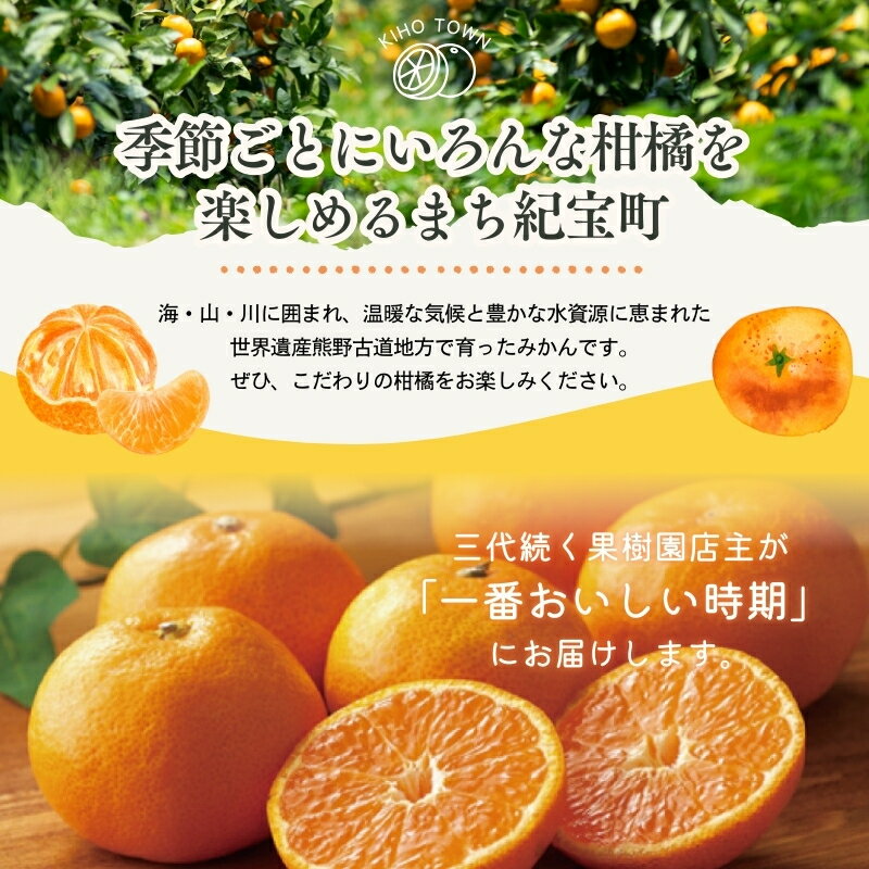 【ふるさと納税】 先行予約 旬の柑橘 詰め合わせ セット 石本果樹園 店主おすすめの柑橘セットをお届け 【2026年1月〜5月中に順次発送予定】 / フルーツ 果物 くだもの 柑橘 みかん ミカン不知火 せとか セミノール ポンカン 甘夏 清見 オレンジ 産地直送 旬 人気 詰め合わせ サムネイル2