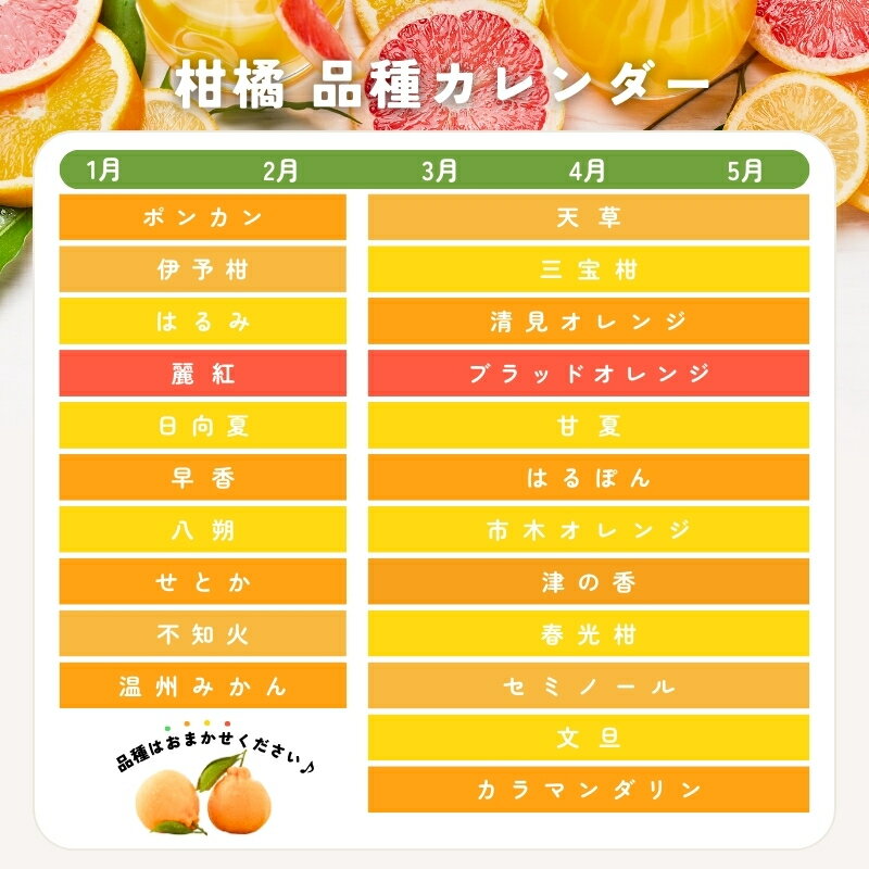 【ふるさと納税】 先行予約 旬の柑橘 詰め合わせ セット 石本果樹園 店主おすすめの柑橘セットをお届け 【2026年1月〜5月中に順次発送予定】 / フルーツ 果物 くだもの 柑橘 みかん ミカン不知火 せとか セミノール ポンカン 甘夏 清見 オレンジ 産地直送 旬 人気 詰め合わせ サムネイル3