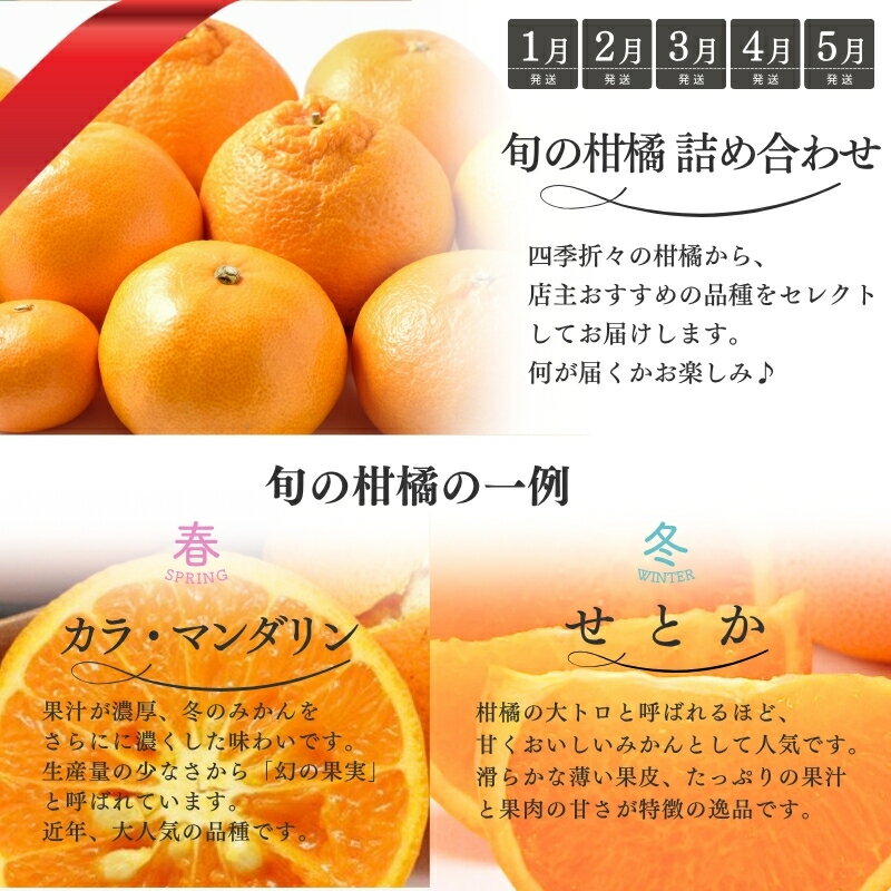【ふるさと納税】 柑橘 定期便 石本果樹園 店主おすすめの柑橘セットを毎月お届け！【全12回】 / フルーツ 果物 くだもの 柑橘 フルーツ定期便 くだもの定期便 定期便 みかん ミカン 温州みかん せとか カラマンダリン 産地直送 旬 人気 おすすめ 三重県 紀宝町 サムネイル3
