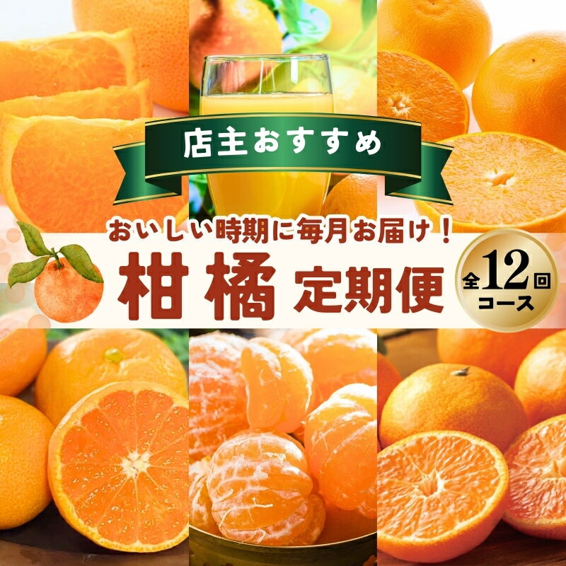 柑橘 定期便 石本果樹園 店主おすすめの柑橘セットを毎月お届け！【全12回】 / フルーツ 果物 くだもの 柑橘 フルーツ定期便 くだもの定期便 定期便 みかん ミカン 温州みかん せとか カラマンダリン 産地直送 旬 人気 おすすめ 三重県 紀宝町
