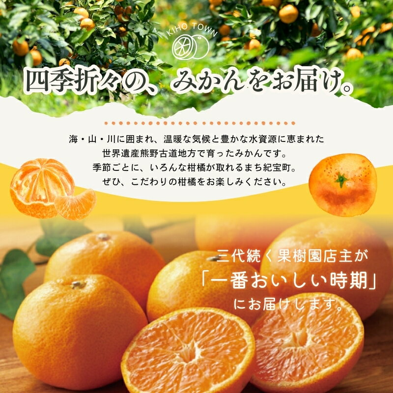 【ふるさと納税】 柑橘 定期便 石本果樹園 店主おすすめの柑橘セットを毎月お届け！【全12回】 / フルーツ 果物 くだもの 柑橘 フルーツ定期便 くだもの定期便 定期便 みかん ミカン 温州みかん せとか カラマンダリン 産地直送 旬 人気 おすすめ 三重県 紀宝町 サムネイル2