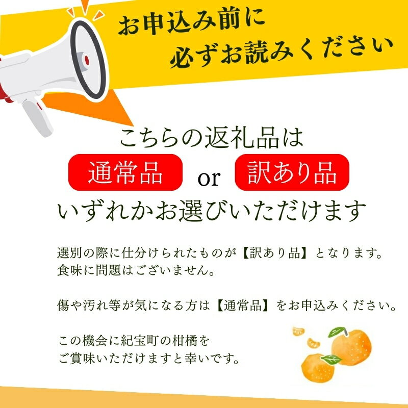 【ふるさと納税】 温州みかん 石本果樹園の美味しい 温州みかん 約4.5kg 35〜40玉前後【2026年11月初旬から1月下旬までに順次発送】 / みかん ミカン 蜜柑 柑橘 フルーツ くだもの 果物 先行予約 温州 産地直送 送料無料 サムネイル2
