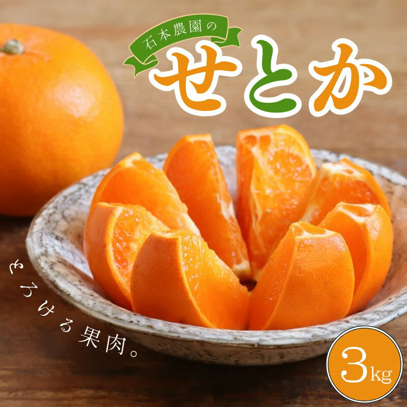 せとか 石本農園の ハウスせとか 約3kg (2L or 3L 9玉〜12玉)【2026年2月中旬から下旬に順次発送】 みかん ミカン 蜜柑 柑橘 果物 くだもの フルーツ 予約 人気 ジューシー 甘い 産地直送 送料無料