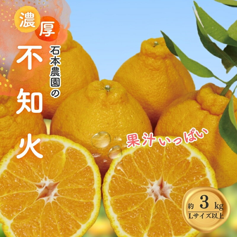 不知火 石本農園の 不知火 3kg Lサイズ以上【2026年3月初旬から下旬までに順次発送】 デコポン みかん ミカン 蜜柑 柑橘 果物 くだもの フルーツ 予約 人気 ジューシー 甘い 産地直送 送料無料