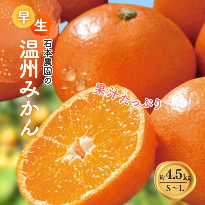 S-Lサイズいずれか 石本農園の早生温州みかん 約4.5kg【2025年11月下旬から12月末頃までに順次発送】/ みかん ミカン 蜜柑 早生 温州