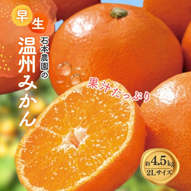 2Lサイズ 石本農園の早生温州みかん約4.5kg【11月下旬から12月末頃までに順次発送】 / みかん ミカン 蜜柑 温州