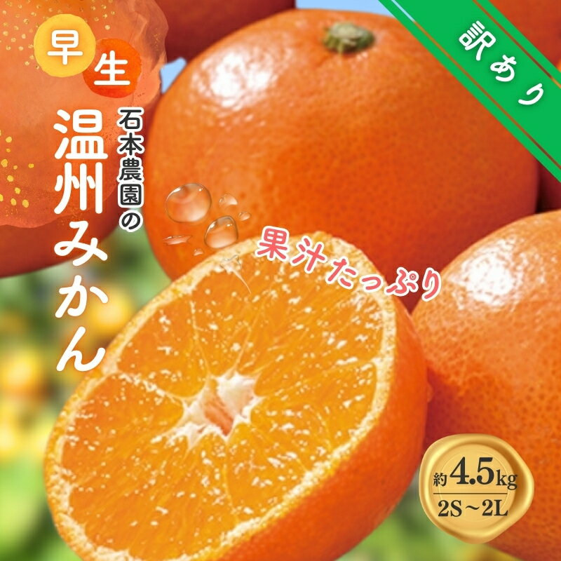 訳あり 2S-2Lサイズおまかせ 石本農園の早生温州みかん 約4.5kg【11月下旬から12月末頃までに順次発送】 / みかん ミカン 蜜柑 温州