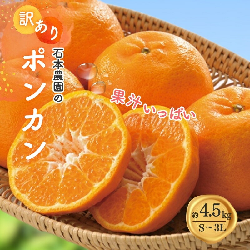 訳あり S-3L サイズおまかせ 石本農園のポンカン 4.5kg 【2026年1月中旬から2月中旬頃までに順次発送】 / みかん ミカン 蜜柑 ぽんかん
