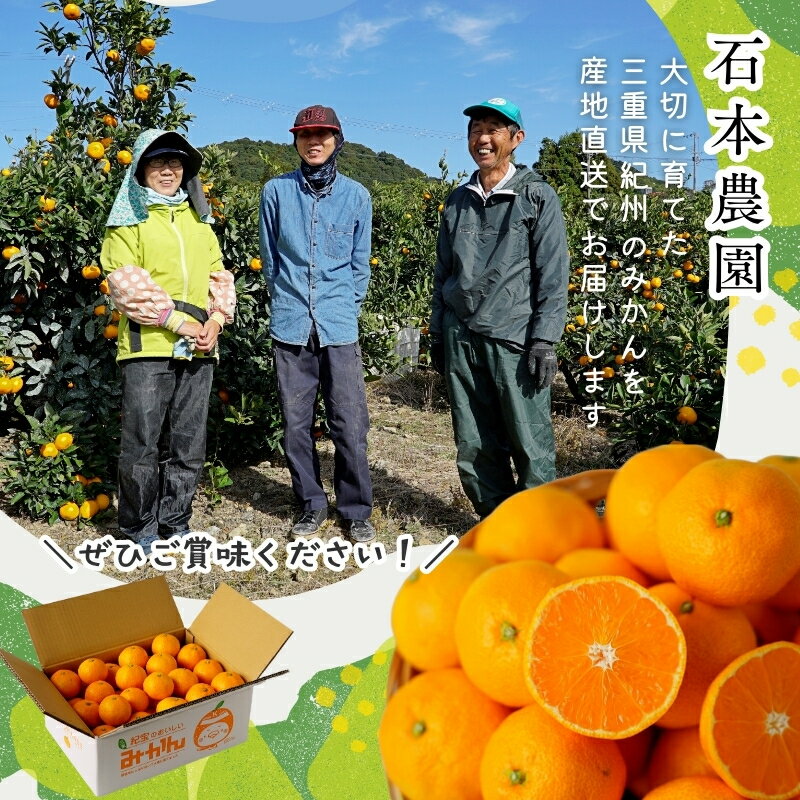 【ふるさと納税】 訳あり 不知火 石本農園の 不知火 4.5kg M~4L サイズおまかせ 【2026年2月上旬から3月上旬までに順次発送】 デコポン みかん ミカン 蜜柑 柑橘 果物 くだもの フルーツ 訳あり 家庭用 予約 人気 産地直送 送料無料 サムネイル2