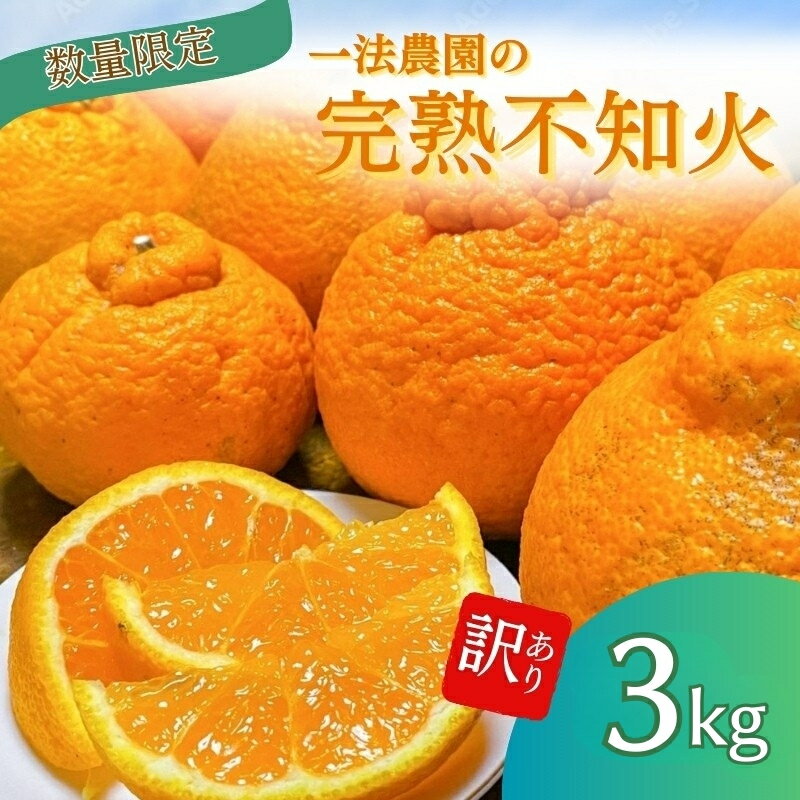 不知火 一法農園の 完熟不知火 ご家庭用 ちょこっと訳あり L-3Lサイズ 3kg【2月上旬〜3月下旬までに順次発送】 デコポン みかん ミカン 蜜柑 柑橘 果物 くだもの フルーツ わけあり 訳あり 家庭用 予約 人気 ジューシー 甘い 産地直送 送料無料
