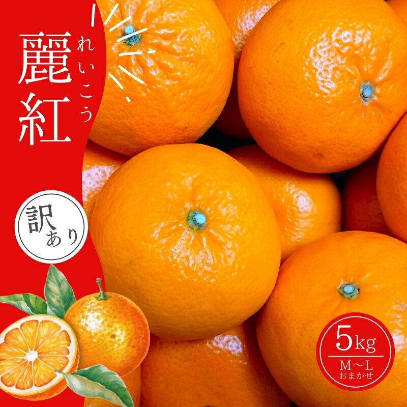麗紅 前地農園の麗紅 (れいこう) 5kg M-L サイズおまかせ ご家庭用【2026年2月初旬から2月中旬までに順次発送】 家庭用 わけあり ワケアリ みかん ミカン 蜜柑 フルーツ 果物 くだもの 産地直送 甘い ジューシー 数量限定 送料無料