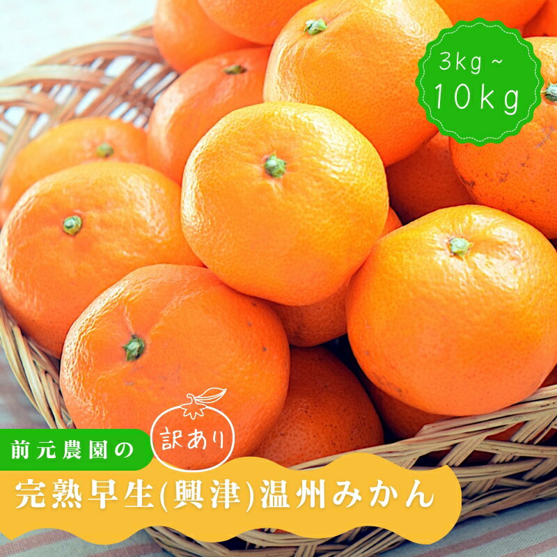 訳あり みかん 前元農園の 完熟中生(なかて) 温州みかん 3Kg 5kg 10kg S-M or L サイズ 【サイズ・容量が選べる】 くだもの フルーツ 果物 家庭用 人気 みかん ミカン 柑橘 訳あり わけあり 数量限定 旬 【1月初旬〜下旬に順次発送】