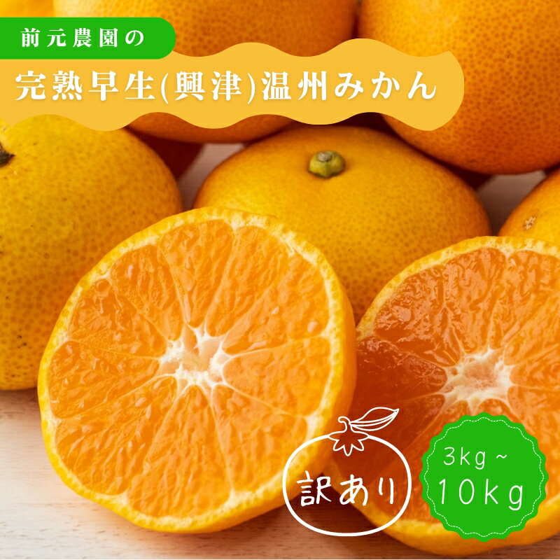 【サイズ・容量が選べる】訳あり 前元農園の完熟早生(興津) 温州みかん 3~10kg s-M or L サイズ【12月初旬〜下旬に順次発送】/ くだもの フルーツ 果物 家庭用 人気 みかん ミカン 蜜柑 柑橘 訳あり わけあり 数量限定