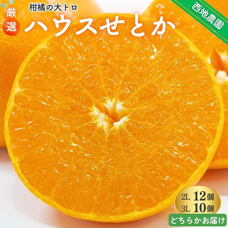 せとか 西地農園の ハウスせとか 2L 12個 / 3L 10個 【2026年2月中旬より順次発送】 手選別 ハウスせとか みかん ミカン 蜜柑 柑橘 果物 くだもの フルーツ 予約 人気 ジューシー 甘い 産地直送 送料無料