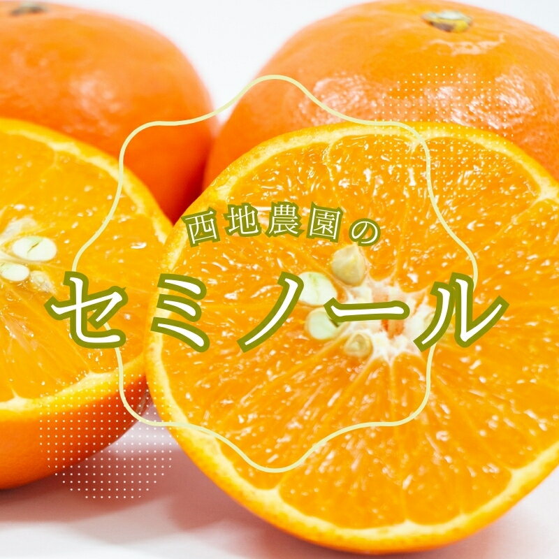 西地農園のセミノール 4.5kg 【選べるサイズ！MまたはL・2Lサイズ】【3月中旬から順次発送】 / セミノール L 2L みかん 蜜柑 柑橘 4.5kg
