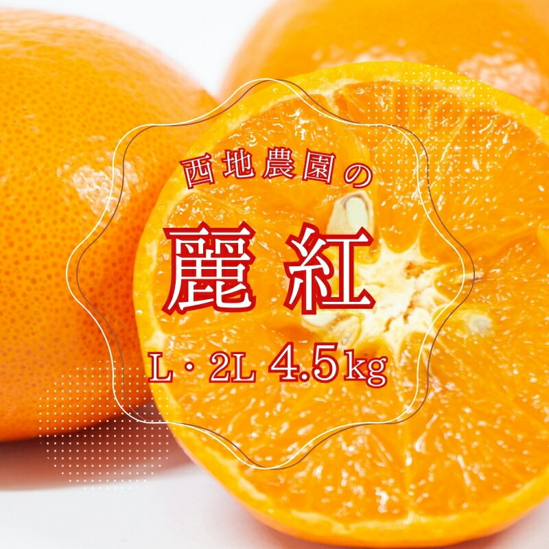 麗紅 西地農園の 麗紅 (れいこう) 4.5kg L・2L 【2026年2月初旬から順次発送】 ご家庭用 家庭用 れいこう 柑橘 みかん ミカン 蜜柑 柑橘 果物 くだもの フルーツ 産地直送 国産 数量限定 送料無料
