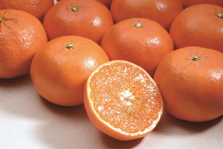 【ふるさと納税】 麗紅 西地農園の 麗紅 (れいこう) 4.5kg L・2L 【2026年2月初旬から順次発送】 ご家庭用 家庭用 れいこう 柑橘 みかん ミカン 蜜柑 柑橘 果物 くだもの フルーツ 産地直送 国産 数量限定 送料無料 サムネイル2