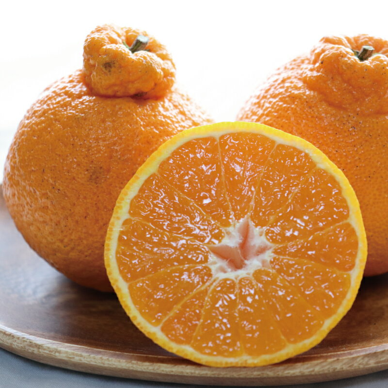 【ふるさと納税】 ＼選べる容量／ 不知火 橋本農園の 完熟不知火 玉数・サイズおまかせ 5kg or 10kg【2026年2月中旬〜3月中旬までに順次発送】 デコポン みかん ミカン 蜜柑 柑橘 果物 くだもの フルーツ 予約 人気 ジューシー 甘い 産地直送 送料無料 サムネイル3