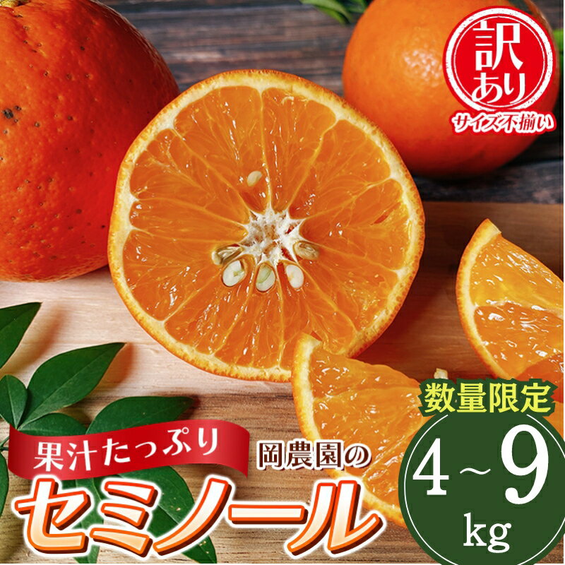 【先行予約】【容量が選べる】訳あり品 サイズ混合 ご家庭用 岡農園のセミノール【2026年3月下旬から4月下旬までに順次発送】 / セミノール わけあり 訳あり 家庭用 みかん 蜜柑 数量限定 ミカン