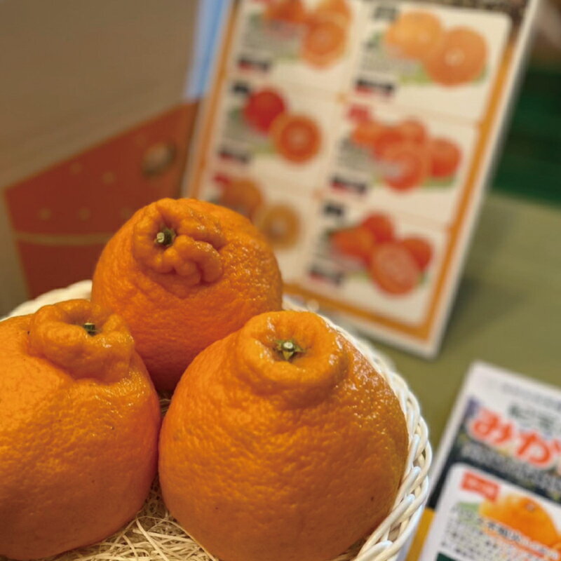 ＼選べる容量／ 不知火 岡農園の ハウス不知火 サイズ2L以上 【1月上旬〜2月下旬順次発送】 デコポン みかん ミカン 蜜柑 柑橘 果物 くだもの フルーツ 予約 人気 ジューシー 甘い 産地直送 送料無料