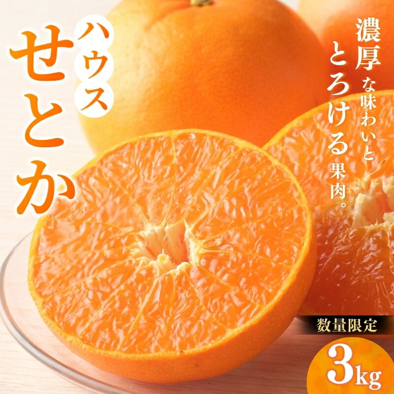 せとか 阪口農園の ハウスせとか 3kg (2L〜3L 9玉〜12玉) 【2026年2月中旬から3月中旬までに順次発送】 みかん ミカン 蜜柑 柑橘 果物 くだもの フルーツ 予約 人気 ジューシー 甘い 産地直送 送料無料
