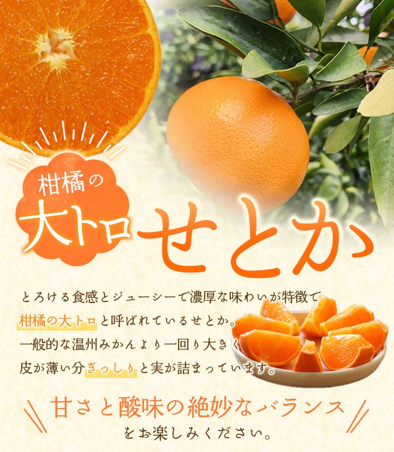【ふるさと納税】 せとか 阪口農園の ハウスせとか 3kg (2L〜3L 9玉〜12玉) 【2026年2月中旬から3月中旬までに順次発送】 みかん ミカン 蜜柑 柑橘 果物 くだもの フルーツ 予約 人気 ジューシー 甘い 産地直送 送料無料 サムネイル2