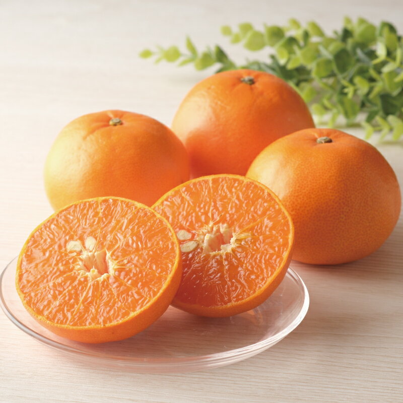 【ふるさと納税】 せとか 家庭用 阪口農園の ハウスせとか 3kg M〜4L サイズおまかせ 【2026年2月中旬から3月中旬までに順次発送】 みかん ミカン 蜜柑 柑橘 果物 くだもの フルーツ サイズ 不揃い 家庭用 ご家庭用 予約 人気 ジューシー 甘い 産地直送 送料無料 サムネイル3