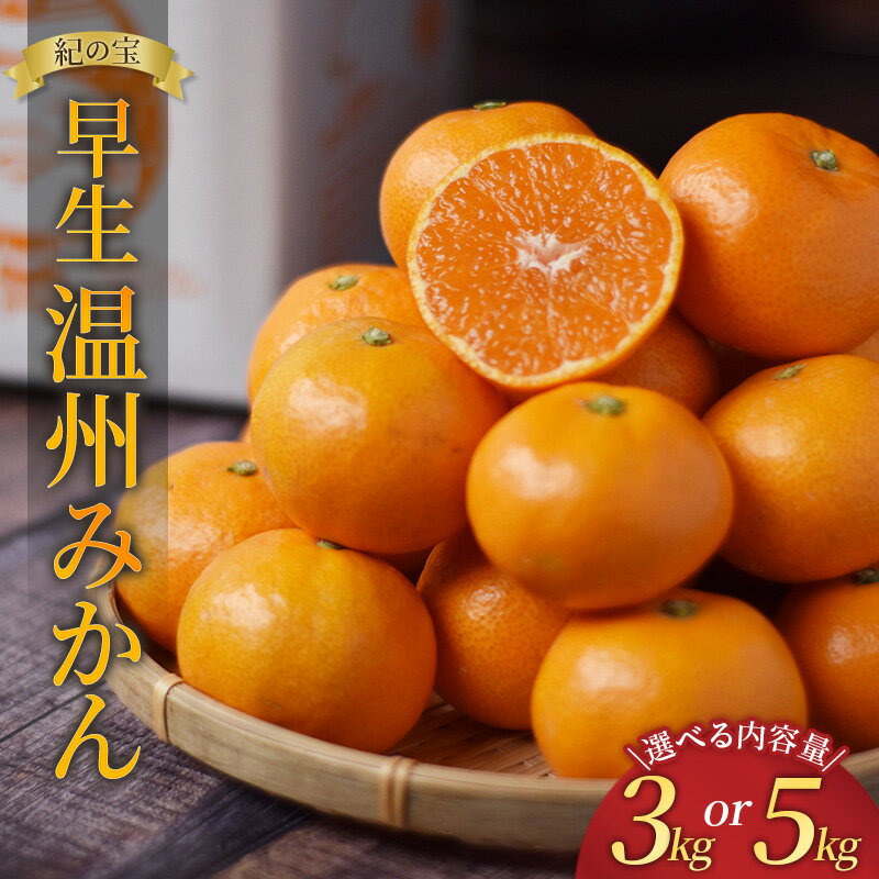 ＼選べる容量／ 早生温州 みかん たにぐち農園の 早生温州みかん (マルチ栽培) 3kg or 5kg【2025年11月中旬〜12月中旬に順次発送】 みかん ミカン 蜜柑 柑橘 フルーツ 果物 くだもの 産地直送 送料無料
