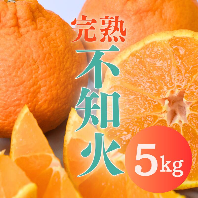 不知火 たにぐち農園の 完熟不知火 5kg 【2026年2月中旬から3月下旬までに順次発送】 デコポン みかん ミカン 蜜柑 柑橘 果物 くだもの フルーツ 予約 人気 ジューシー 甘い 産地直送 送料無料