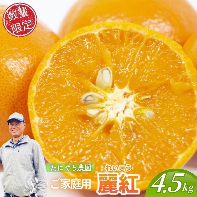 【数量限定】ご家庭用 たにぐち農園の麗紅 (れいこう) 約4.5kg Lサイズ以上 みかん ミカン 柑橘 フルーツ 果物 くだもの 家庭用 れいこう オレンジ 旬 産地直送 農家直送 【2026年2月より順次発送予定】