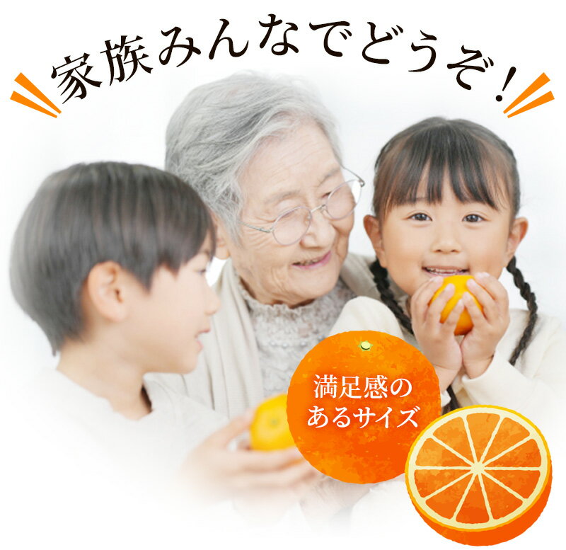 【ふるさと納税】 【数量限定】ご家庭用 たにぐち農園の麗紅 (れいこう) 約4.5kg Lサイズ以上 みかん ミカン 柑橘 フルーツ 果物 くだもの 家庭用 れいこう オレンジ 旬 産地直送 農家直送 【2026年2月より順次発送予定】 サムネイル2